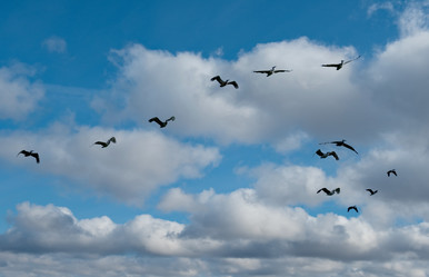 Similar image 21989842