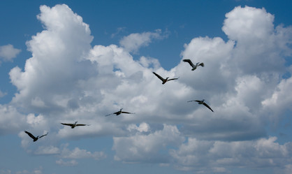 Similar image 21989843