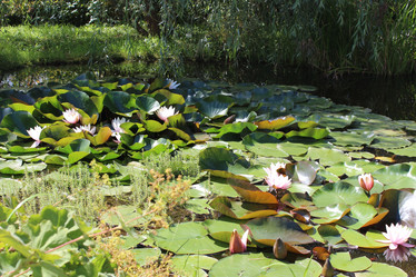 Similar image 21989852