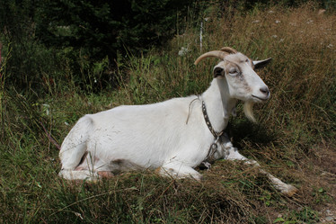 Similar image 21989855