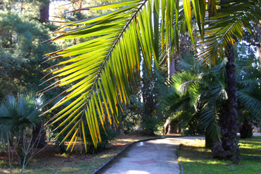 Similar image 21989866