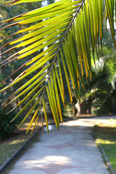 Similar image 21989867