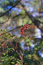 Similar image 21989868