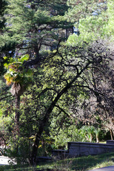 Similar image 21989869