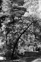 Similar image 21989870