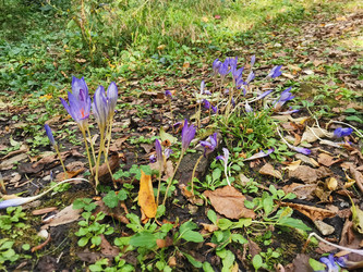 Similar image 21989878