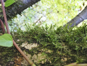 Similar image 21989879