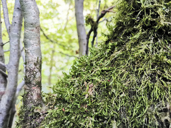 Similar image 21990614