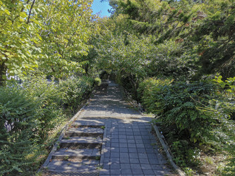 Similar image 21991532