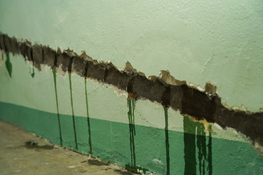 Similar image 21989884