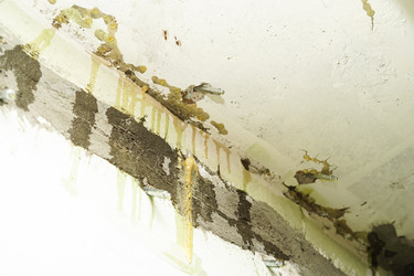 Similar image 21989886