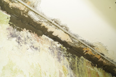 Similar image 21989893