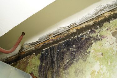 Similar image 21989894