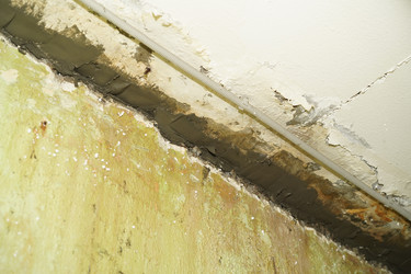 Similar image 21989895