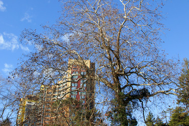 Similar image 21989897