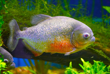 Similar image 21989900