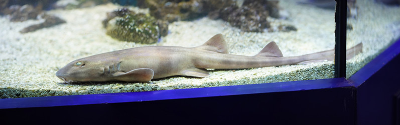 Similar image 21989901