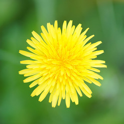 Similar image 21989902