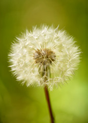 Similar image 21989903