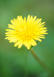 Similar image 21989904