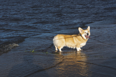 Similar image 21989921