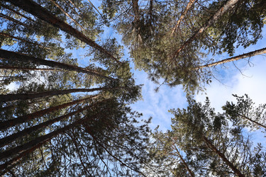 Similar image 21989929