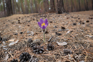 Similar image 21989930