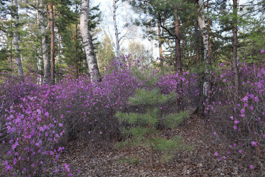 Similar image 21989931