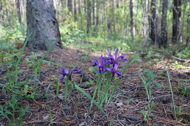 Similar image 21989933