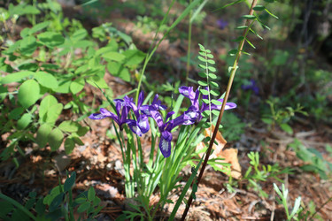 Similar image 21989934