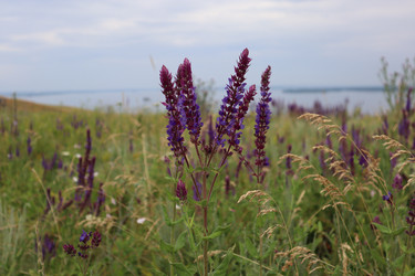 Similar image 21989936