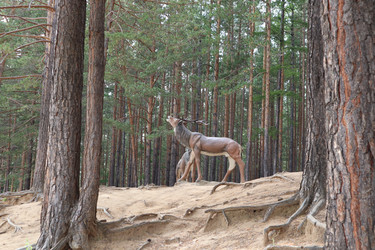 Similar image 21989937