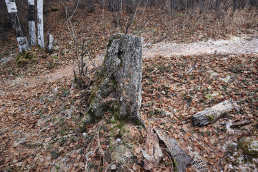 Similar image 21989938