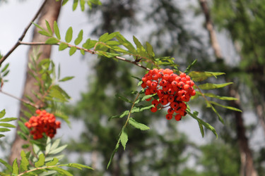 Similar image 21989939