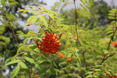 Similar image 21989940