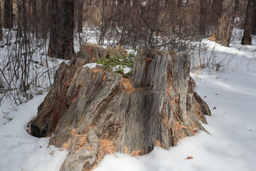 Similar image 21989942