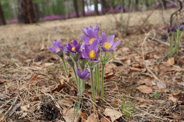 Similar image 21989943