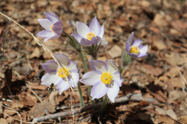 Similar image 21989944