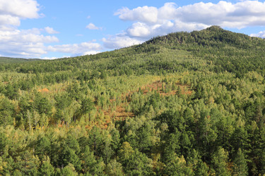 Similar image 21989945