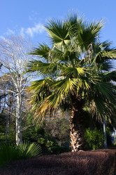 Similar image 21989947