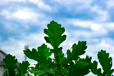 Similar image 21990481