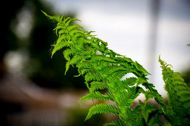 Similar image 21990607