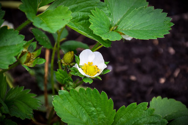 Similar image 21990608