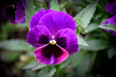 Similar image 21990609