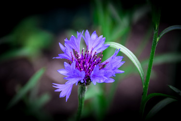 Similar image 21990610