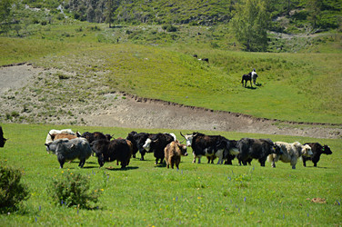 Similar image 21990501