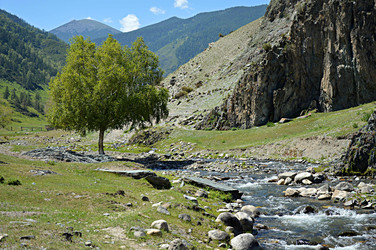 Similar image 21990502