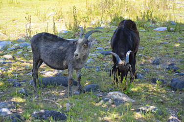 Similar image 21990506