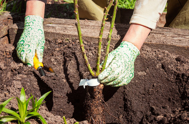 Similar image 21990366