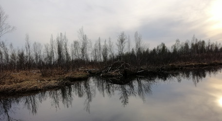 Similar image 21990515